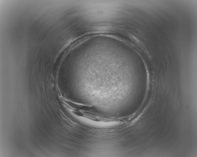 X0000054401449200508191952