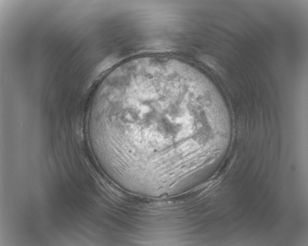 X0000054401451200508191952