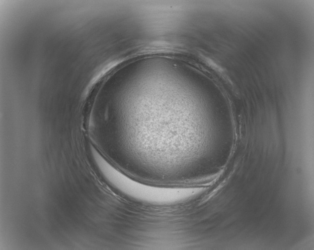 X0000054401453200508191952