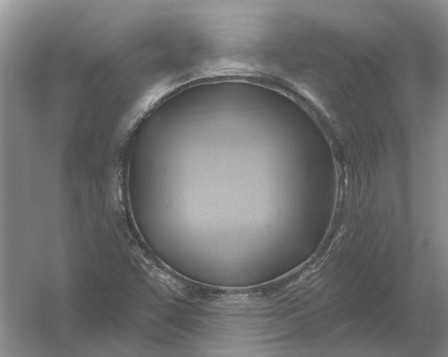 X0000054401455200508191952