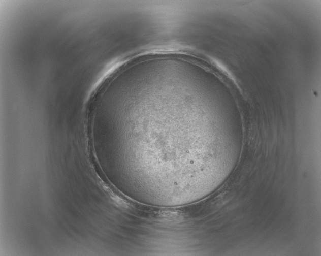 X0000054401456200508191952