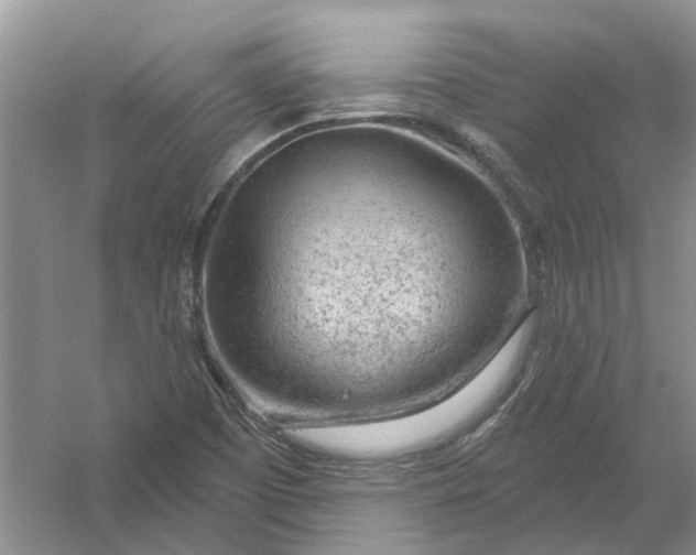 X0000054401457200508191952