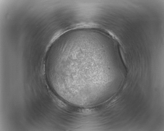 X0000054401459200508191952