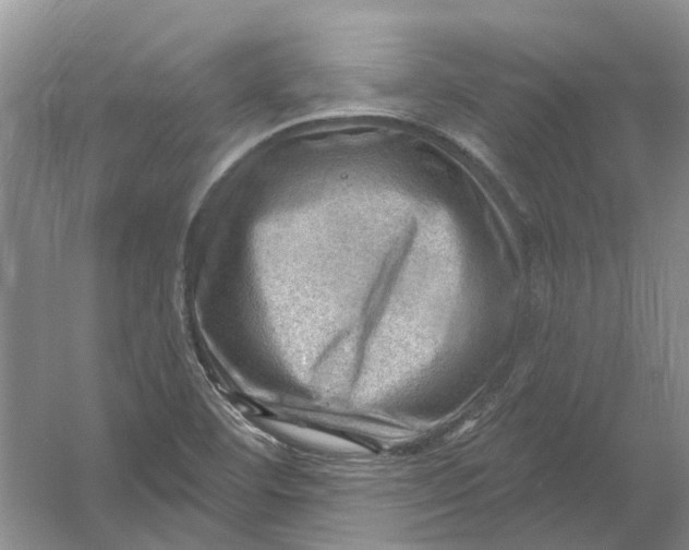 X0000054401460200508191952