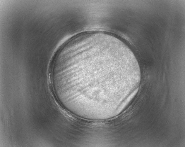 X0000054401462200508191952