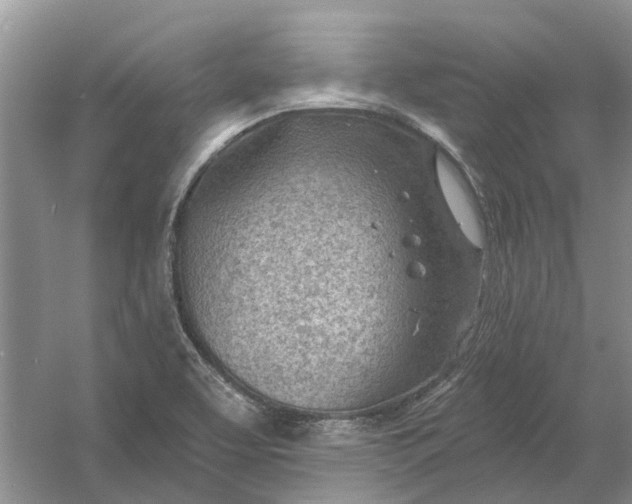 X0000054401463200508191952