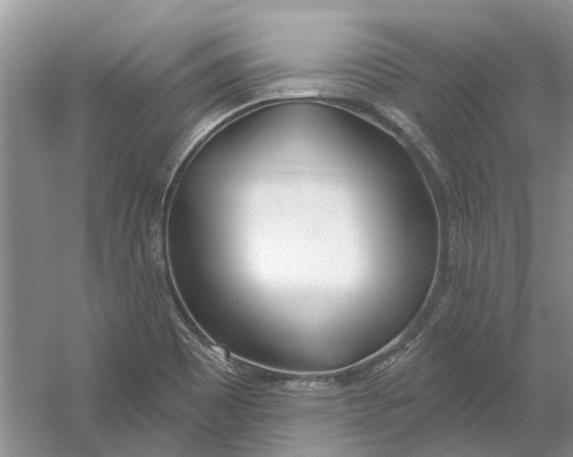 X0000054401465200508191952