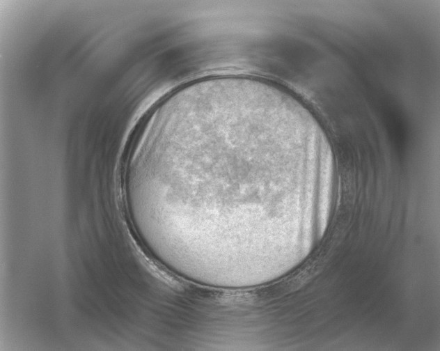 X0000054401466200508191952