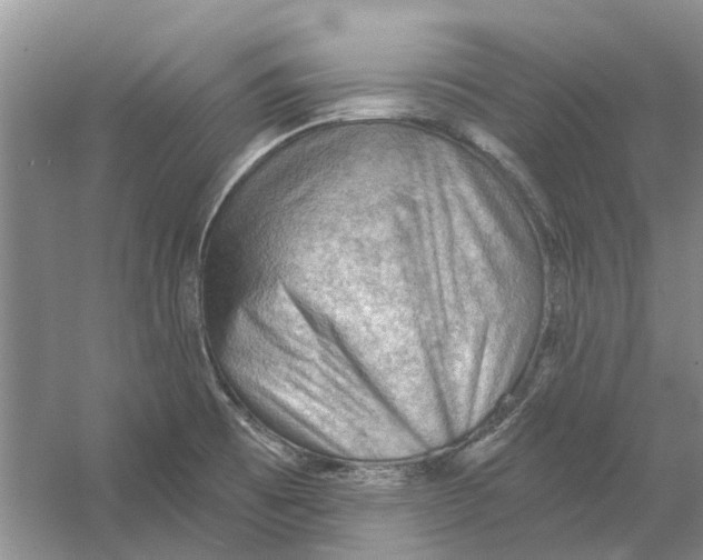 X0000054401473200508191952