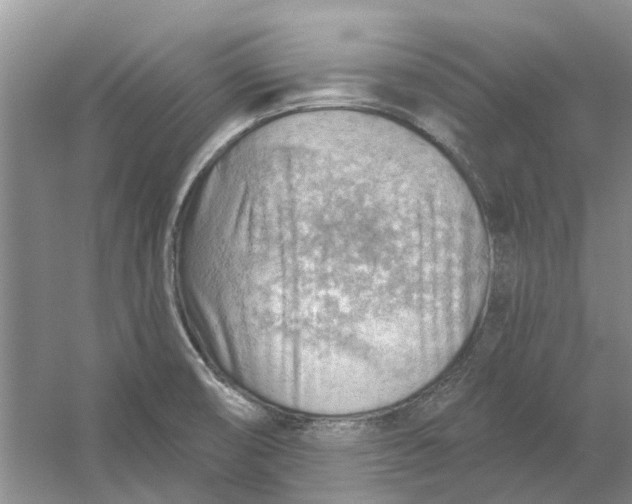 X0000054401474200508191952