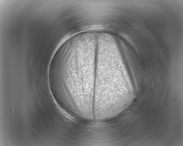 X0000054401475200508191952