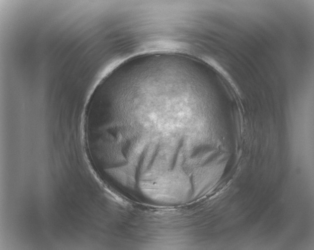 X0000054401477200508191952