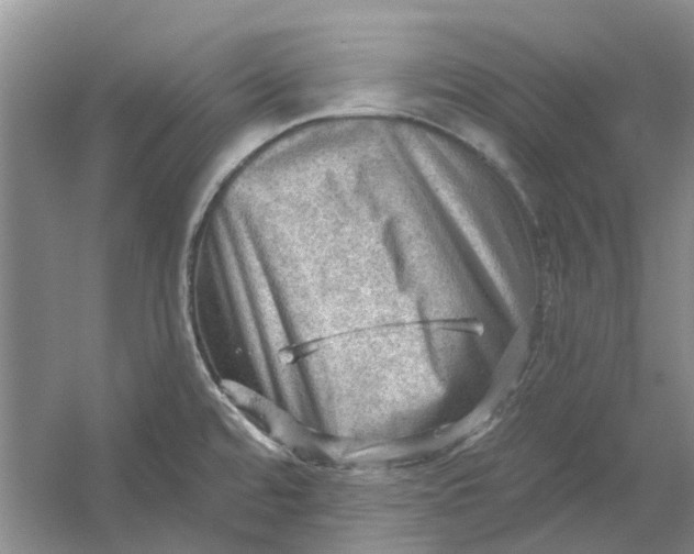 X0000054401480200508191952