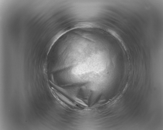 X0000054401481200508191952