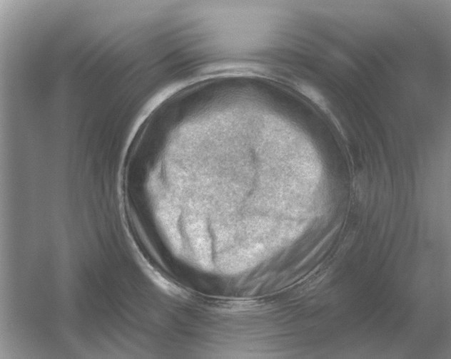 X0000054401482200508191952