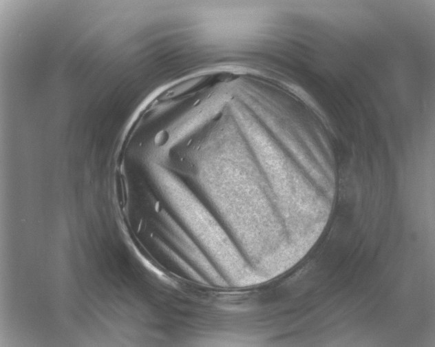 X0000054401484200508191952