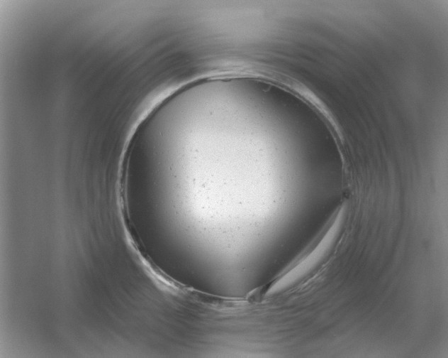 X0000054401485200508191952