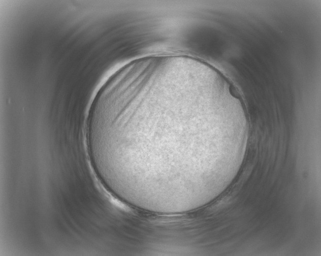 X0000054401486200508191952