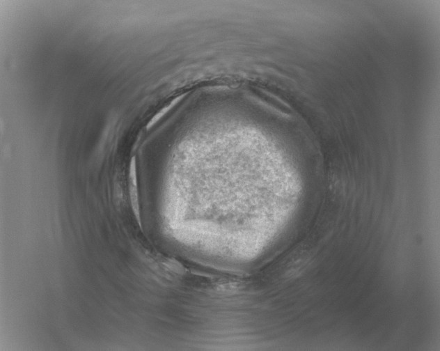 X0000054401490200508191951