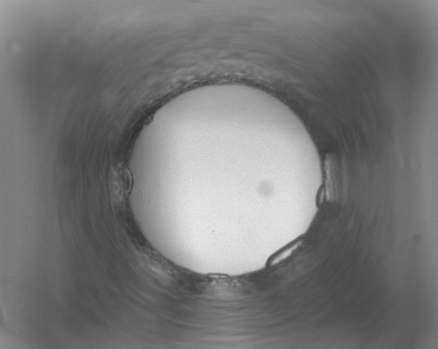 X0000054401491200508191951