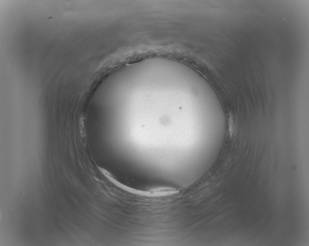 X0000054401492200508191951