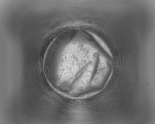 X0000054401493200508191951