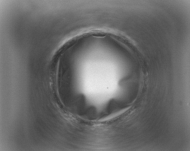 X0000054401496200508191951