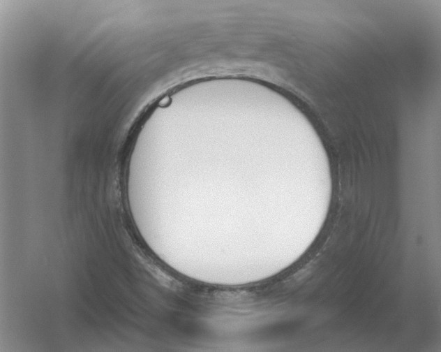 X0000054401498200508191951