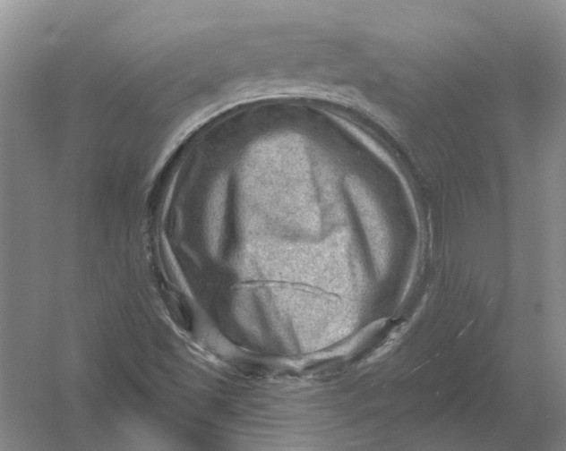 X0000054401501200508191951