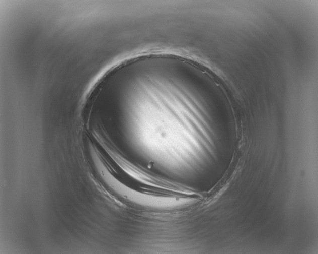 X0000054401502200508191951