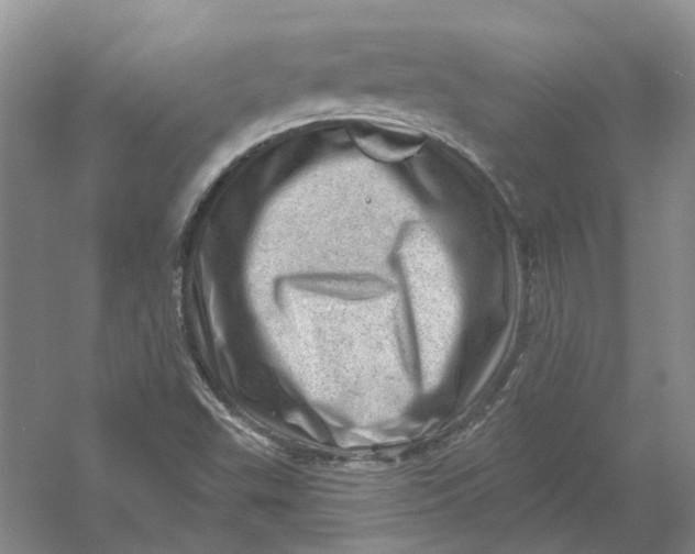 X0000054401503200508191951