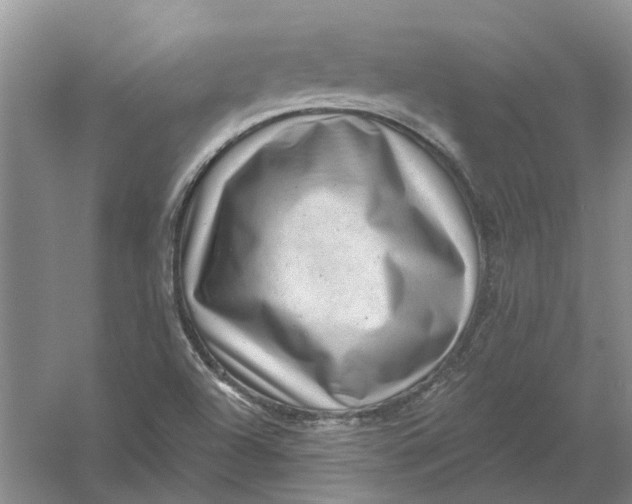 X0000054401504200508191951