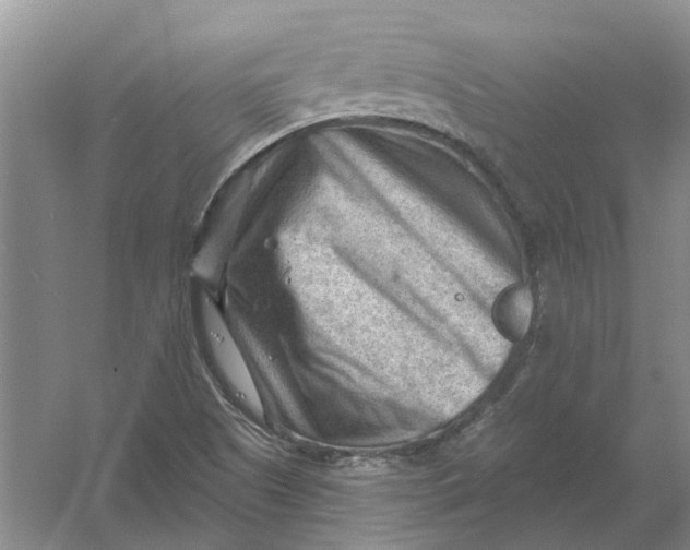 X0000054401505200508191951