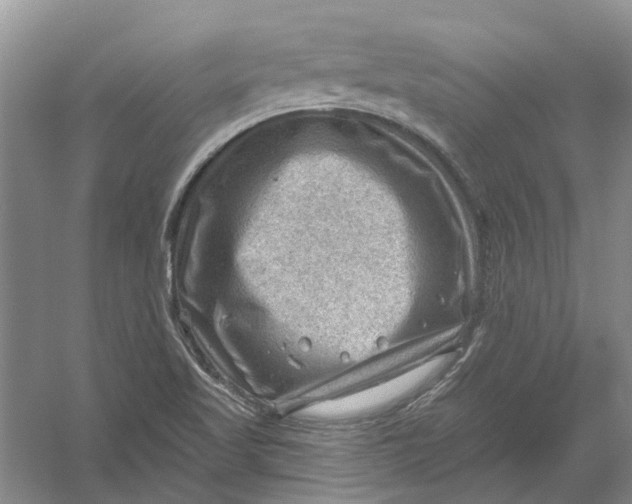 X0000054401509200508191951