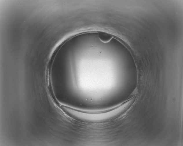 X0000054401510200508191951