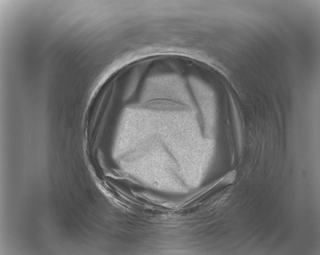 X0000054401511200508191951