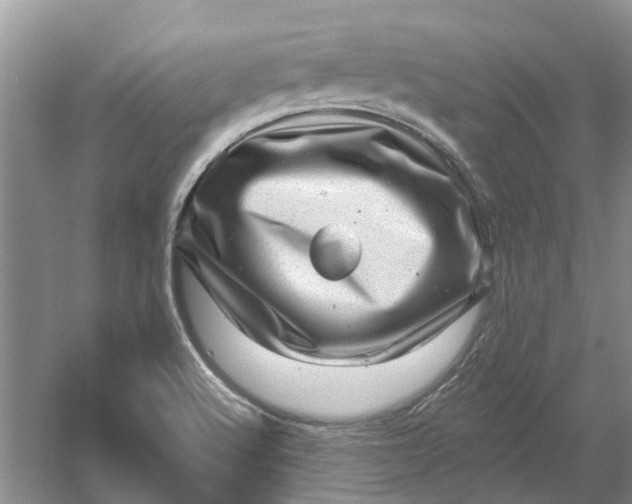 X0000054401512200508191951