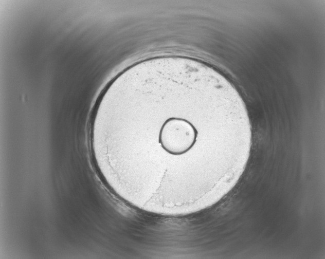 X0000054401514200508191951