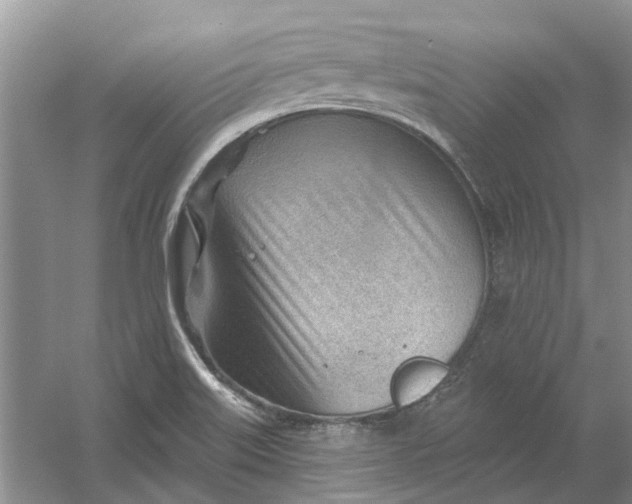 X0000054401515200508191951