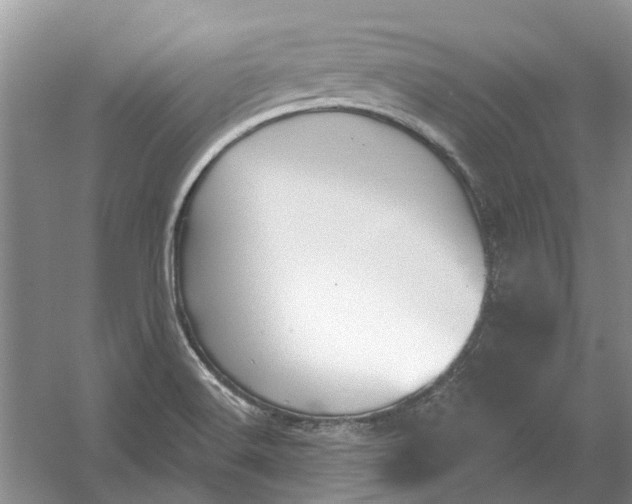 X0000054401516200508191951