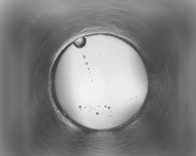 X0000054401518200508191951