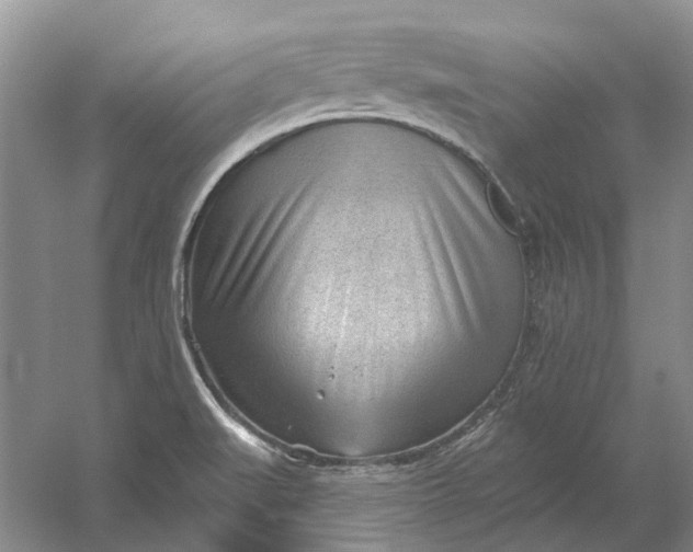 X0000054401519200508191951