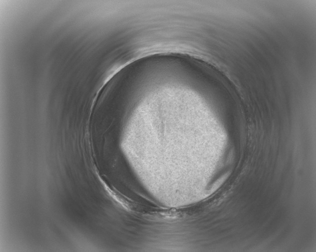 X0000054401521200508191951