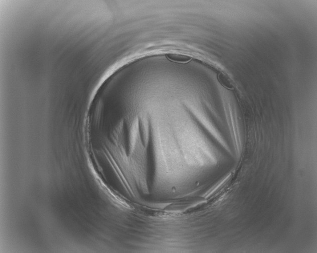 X0000054401522200508191951