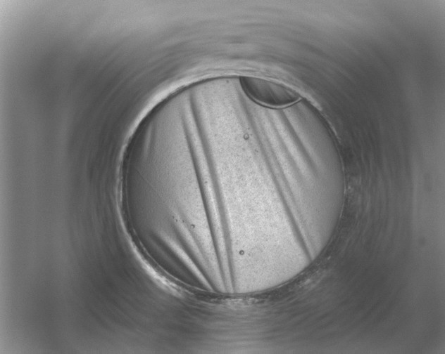 X0000054401523200508191951