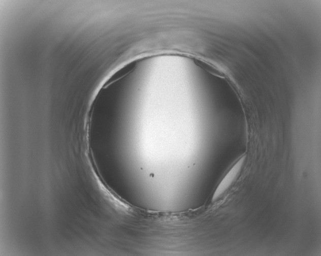 X0000054401524200508191951