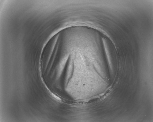 X0000054401525200508191952