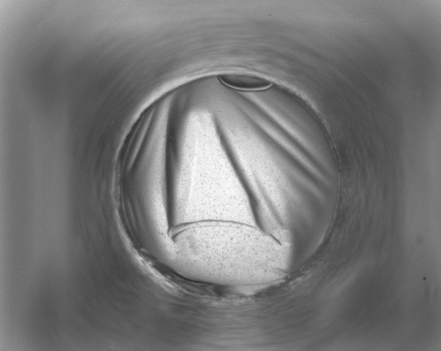 X0000054401526200508191952