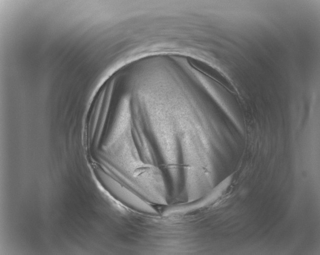 X0000054401527200508191952