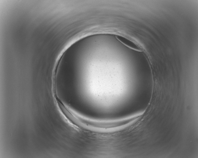 X0000054401528200508191952